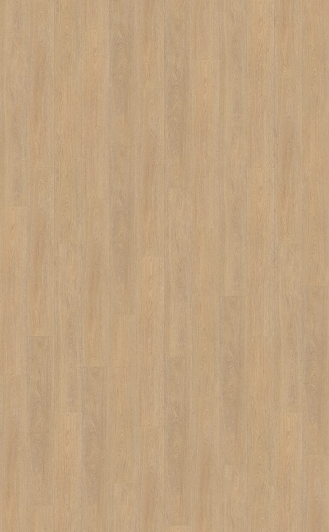Belakos Terreno 610 | Rigid Click