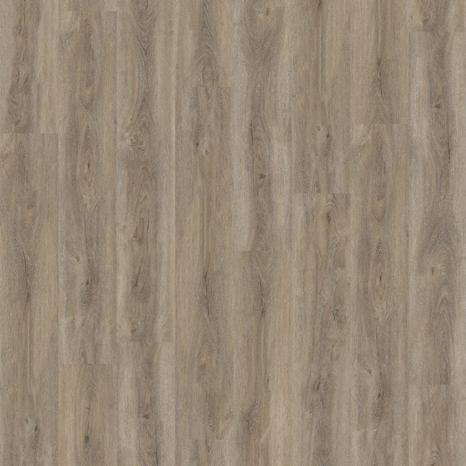 Ambiant Robusto Collection src Smoky