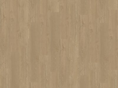 Belakos Portico 540 | Rigid Click