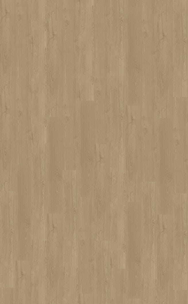 Belakos Portico 540 | Rigid Click