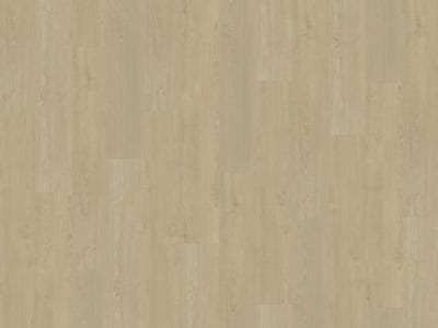 Belakos Portico 570 | Rigid Click