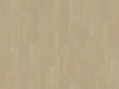 378af600-9c2f-4f77-abc2-9243ca3c4d86 Belakos Portico 570 | Rigid Click