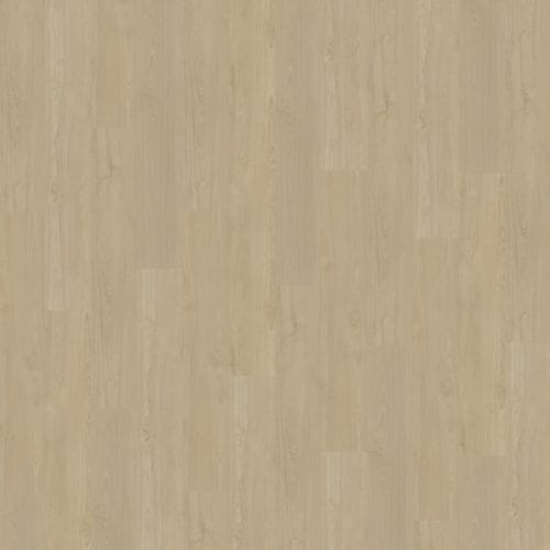 Belakos Portico 570 | Rigid Click