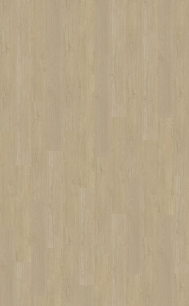 Belakos Portico 570 | Rigid Click