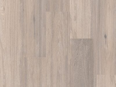 Therdex Regular Serie 3010