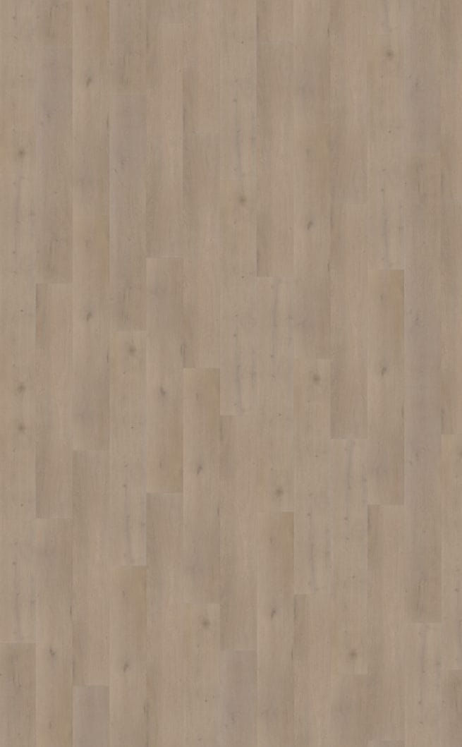 Belakos Attico 830 | Rigid Click