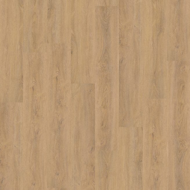 Ambiant Robusto Collection Natural oak