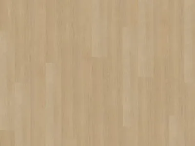 5c57a595-55e6-4d42-b73c-17e85606b801 Belakos Futuro 510