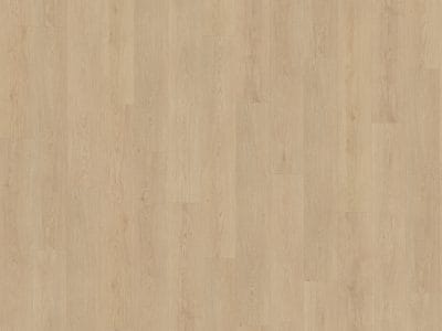 Belakos Monastro 920 | Rigid Click