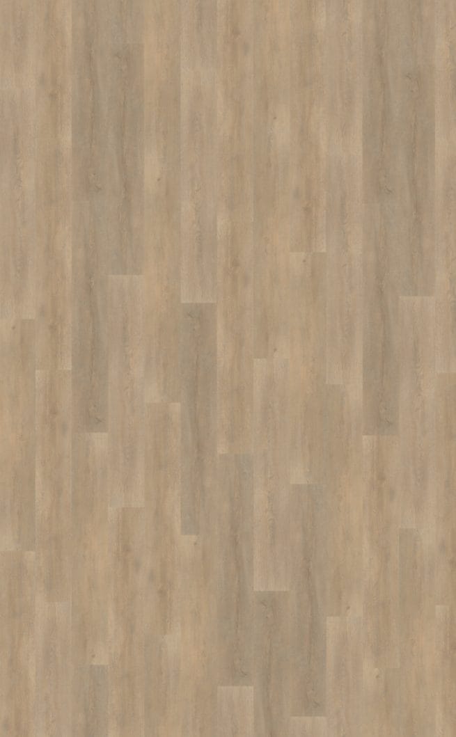 Belakos Palazzo 710 | Rigid Click