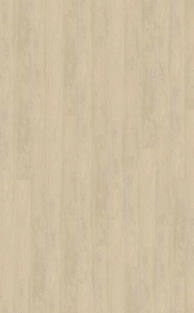 Belakos Terreno 620 | Rigid Click