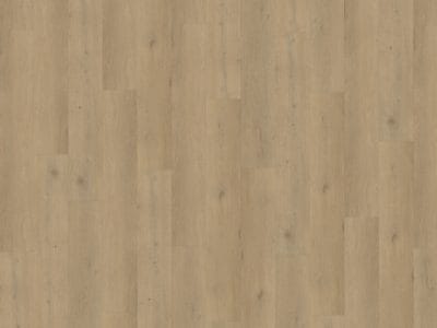 Belakos Attico 870 | Rigid Click