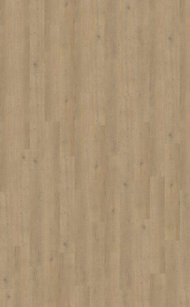Belakos Attico 870 | Rigid Click