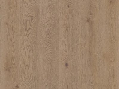 Therdex Authentic Serie 15062