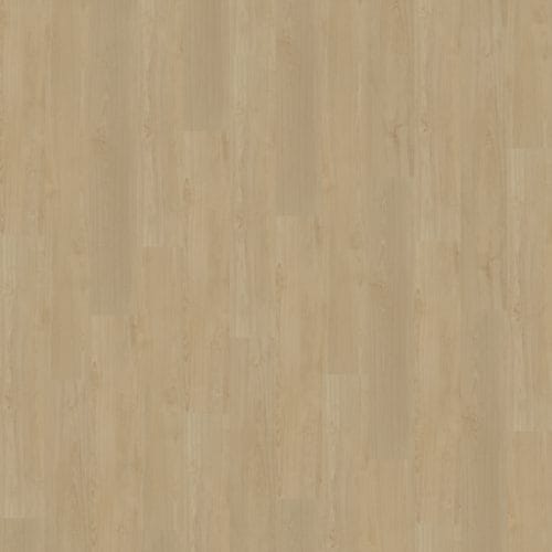 Belakos Portico 550 | Rigid Click