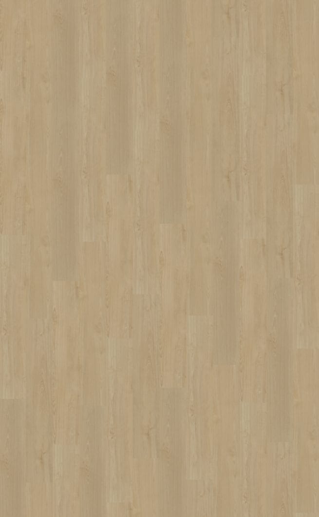 Belakos Portico 550 | Rigid Click