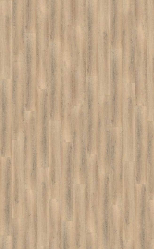 Belakos Palazzo 750 Rigid Click