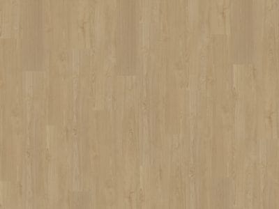 Belakos Portico 560 | Rigid Click