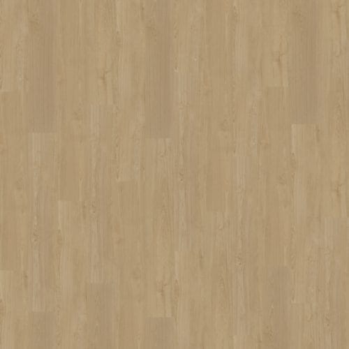 Belakos Portico 560 | Rigid Click