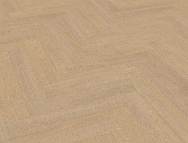 Belakos Terreno visgraat 61 | Rigid Click