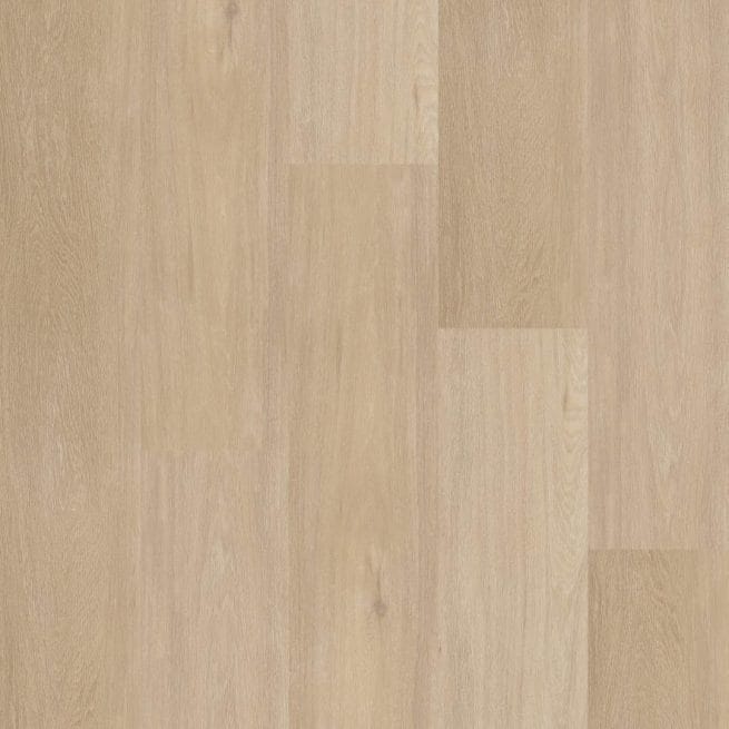 Therdex Chevron Rigid Click Serie C12042
