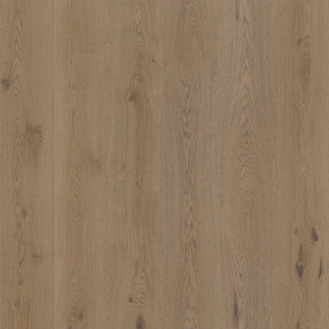 Therdex Authentic Serie 15064