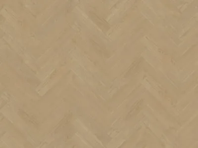 ffd0a685-62e5-4907-9faa-f24975b5d9e0 Belakos Portico visgraat XL 56