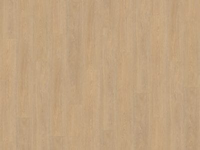 Belakos Terreno 610 | Rigid Click