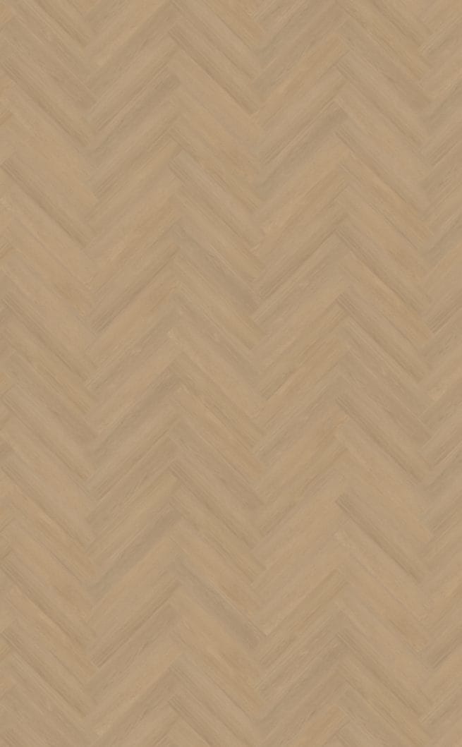 Belakos Futuro visgraat XL 51 | Rigid Click