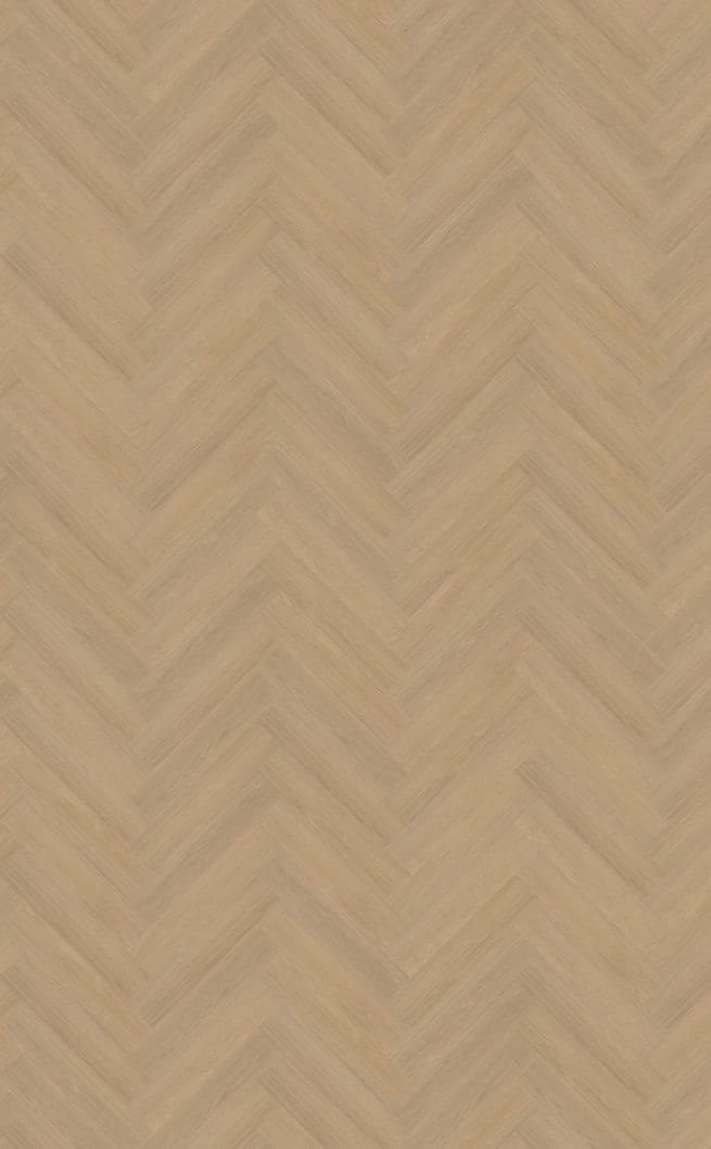 Belakos Futuro visgraat XL 51