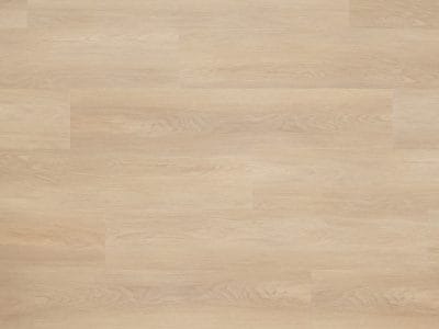 Floer Dorpen Noordwijk Natuur Eiken