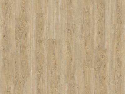 Ambiant Robusto Collection src Naturel