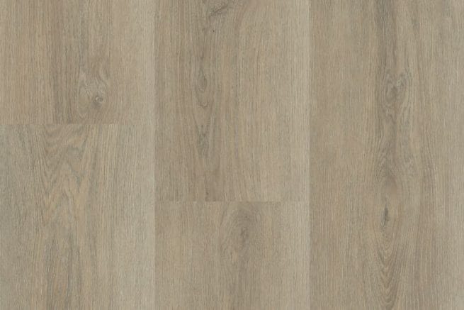 Hebeta/Montinique Charente XL 5445