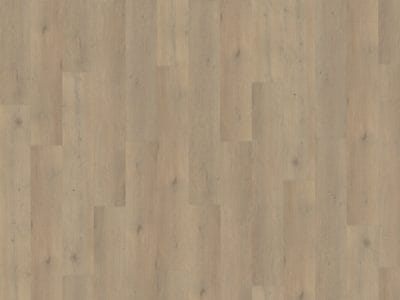 Belakos Attico 860 | Rigid Click