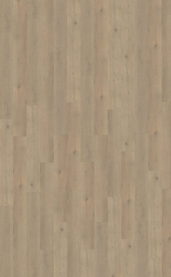 Belakos Attico 860 | Rigid Click