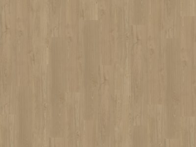 Belakos Portico 540 | Rigid Click