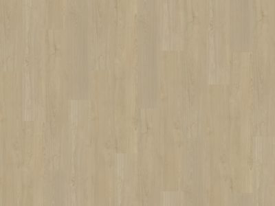 Belakos Portico 570 | Rigid Click