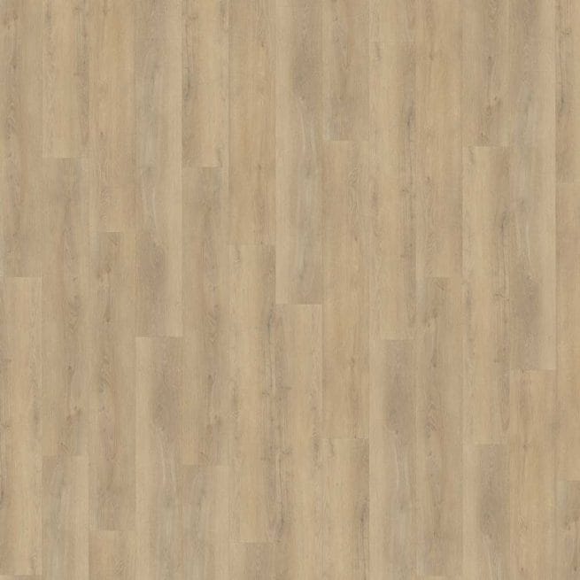 Belakos Palazzo 720 | Rigid Click