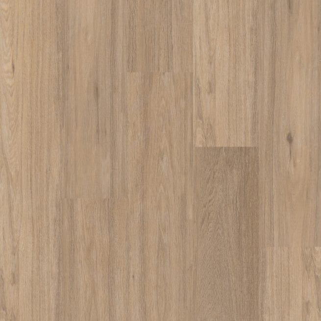 Therdex Regular Serie 3020