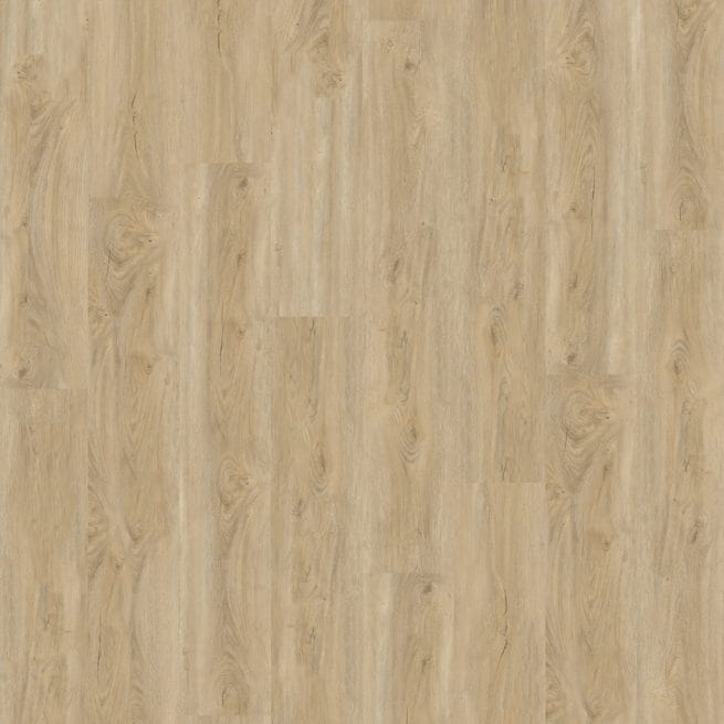 Ambiant Robusto Collection Naturel