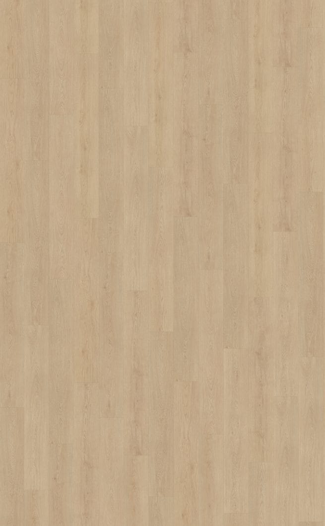 Belakos Monastro 920 | Rigid Click