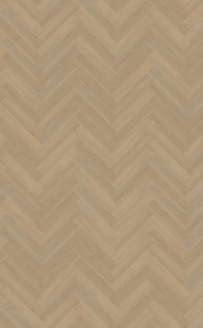 Belakos Futuro visgraat XL 53 | Rigid Click