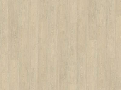 Belakos Terreno 620 | Rigid Click