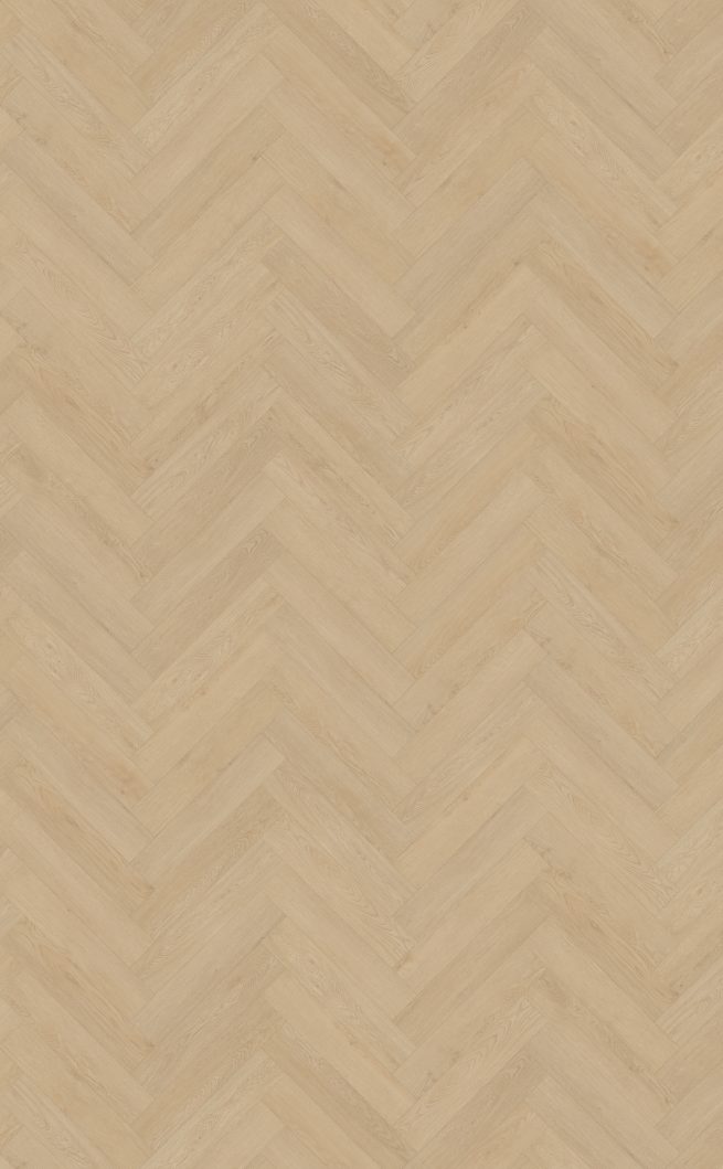 Belakos Monastro visgraat XL 92