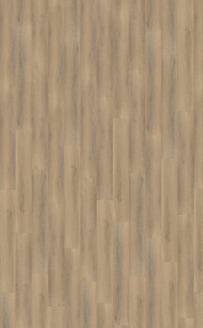 Belakos Palazzo 760 | Rigid Click