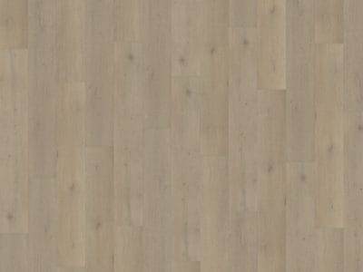 Belakos Attico 850 | Rigid Click