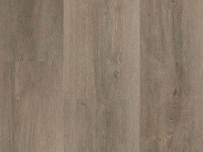 Hebeta/Montinique Charente XL 5461