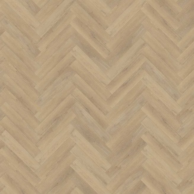 Belakos Palazzo visgraat XL 72