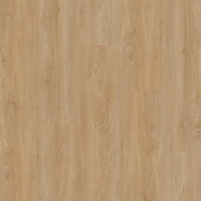 Therdex Regular Serie 2550