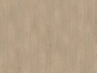 Belakos Palazzo 740 | Rigid Click